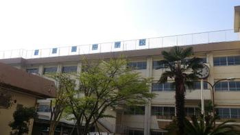 【中学校】葛飾区立葛美中学校まで1257ｍ