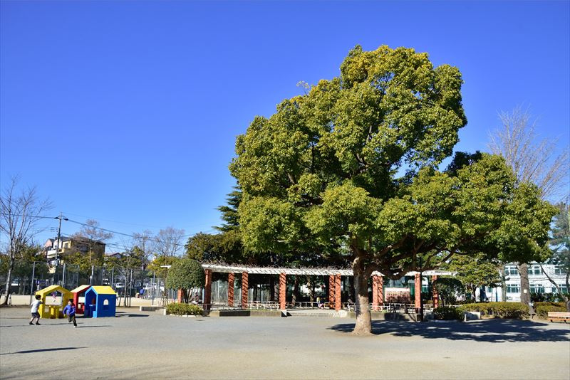 【公園】小岩公園まで629ｍ