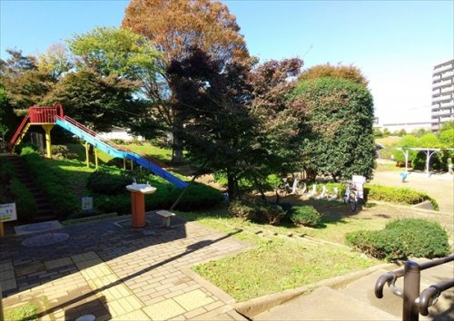 【公園】かしわ公園まで210ｍ