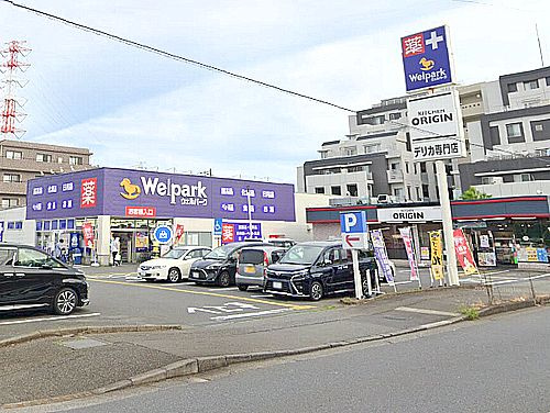 【ドラッグストア】ウェルパーク相模原清新店まで206ｍ