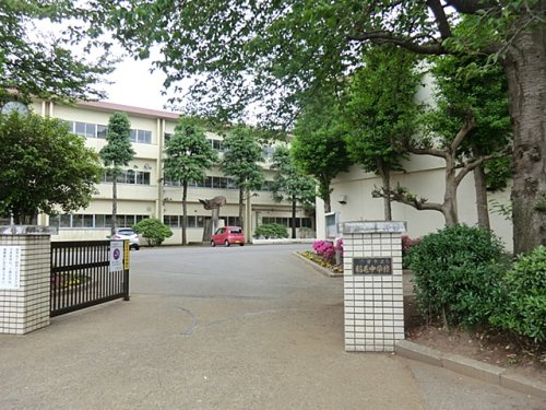 【中学校】千葉市立稲毛中学校まで597ｍ