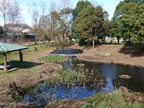 【公園】金目親水公園まで1118ｍ