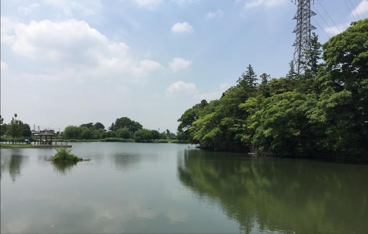 【公園】高須賀池公園まで1011ｍ