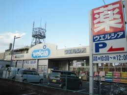 【ドラッグストア】ウエルシア八王子東浅川店?まで413ｍ