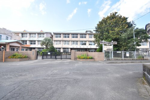 【中学校】鹿屋市立田崎中学校まで1483ｍ