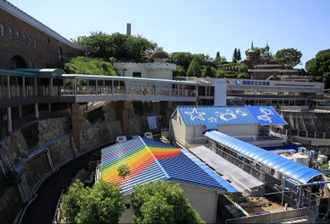 【水族館】姫路市立水族館まで1136ｍ