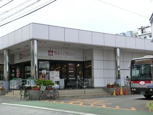 【スーパー】東急ストア洗足店まで352ｍ