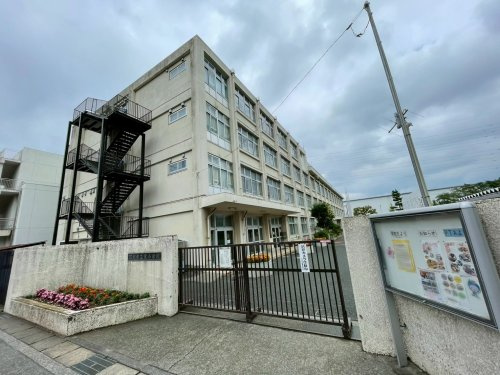 【小学校】羽村市立栄小学校まで558ｍ