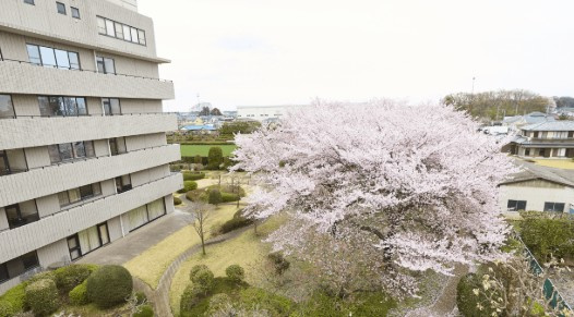 【総合病院】新所沢清和病院まで1140ｍ