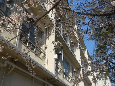 【中学校】豊中市立第七中学校まで2158ｍ