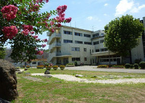 【小学校】佐倉市立佐倉小学校まで366ｍ