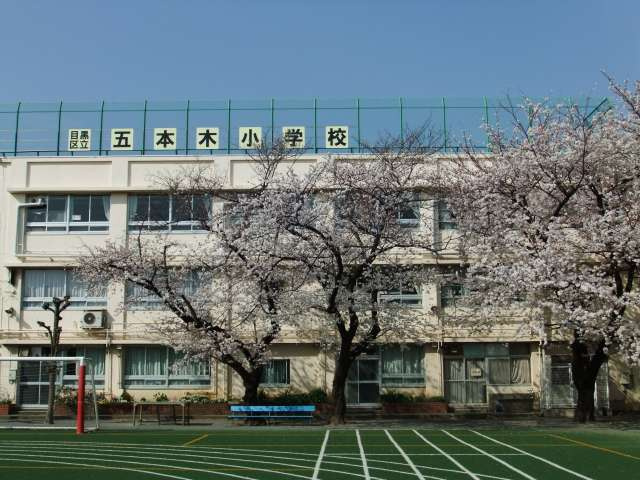 【小学校】目黒区立五本木小学校まで267ｍ