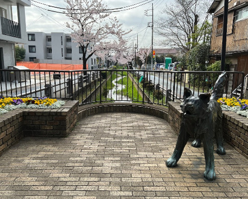 【公園】呑川親水公園まで323ｍ