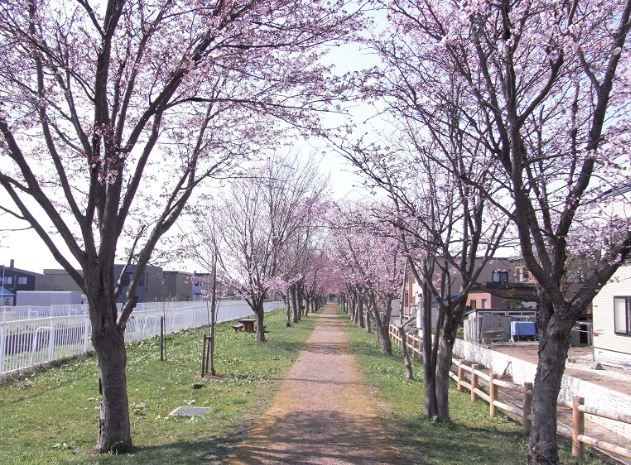 【公園】山七公園まで840ｍ