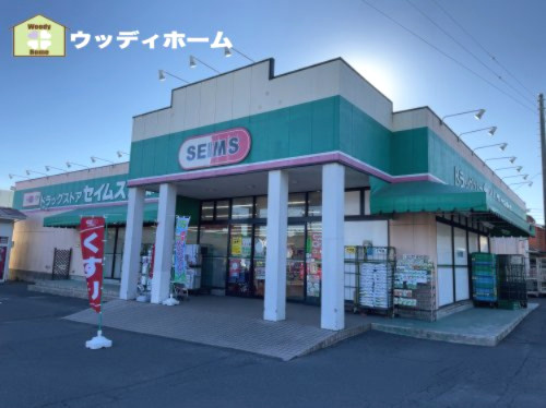 【ドラッグストア】ドラッグセイムス庄和町店まで501ｍ