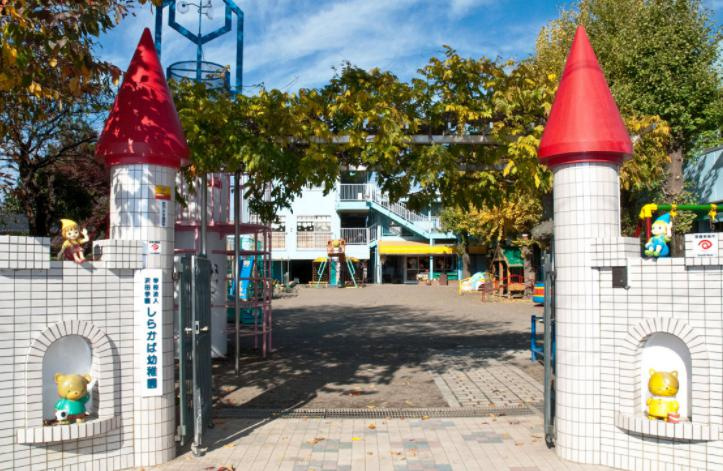 【幼稚園】しらかば幼稚園(見沼区)まで376ｍ