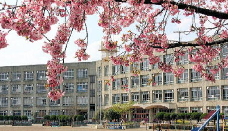 【小学校】さいたま市立島小学校まで1200ｍ