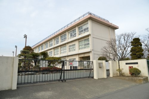 【小学校】平塚市立真土小学校まで245ｍ