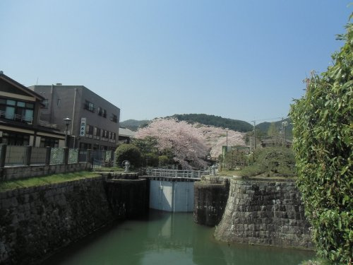 【その他】琵琶湖疏水まで300ｍ