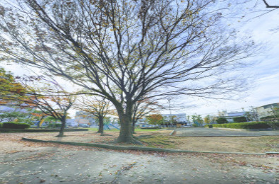 【公園】菱屋東公園まで1132ｍ