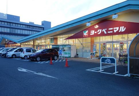 【スーパー】ヨークベニマル新原店まで100ｍ