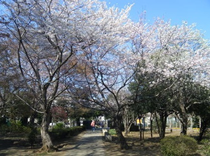 【小学校】八千代市立南高津小学校まで450ｍ