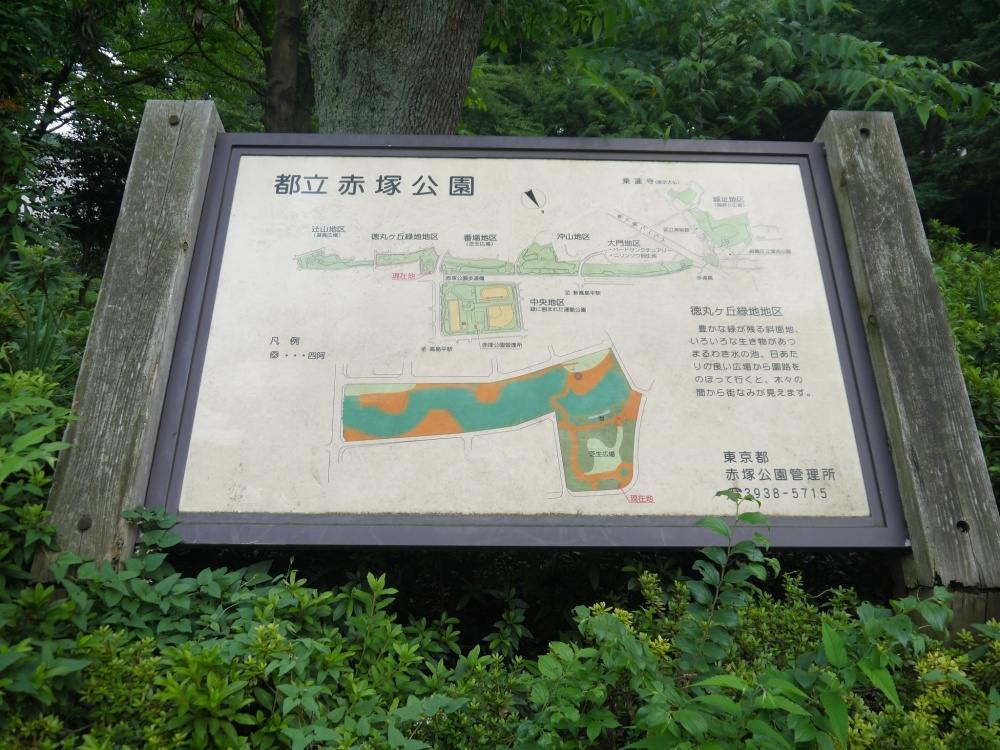 【公園】東京都立　赤塚公園まで1251ｍ