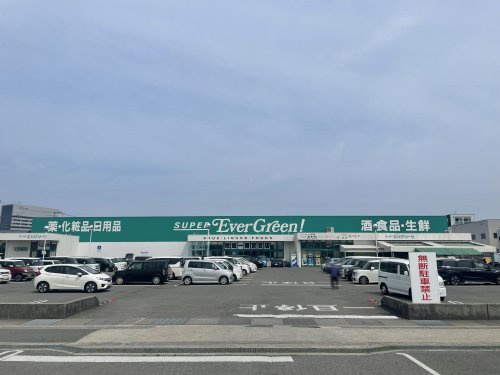 【スーパー】スーパーエバグリーン宮前店まで1437ｍ