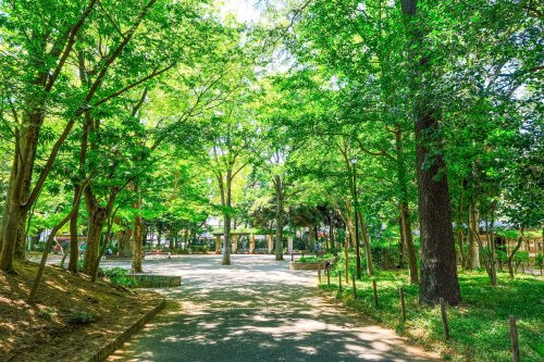 【公園】蚕糸の森公園まで920ｍ