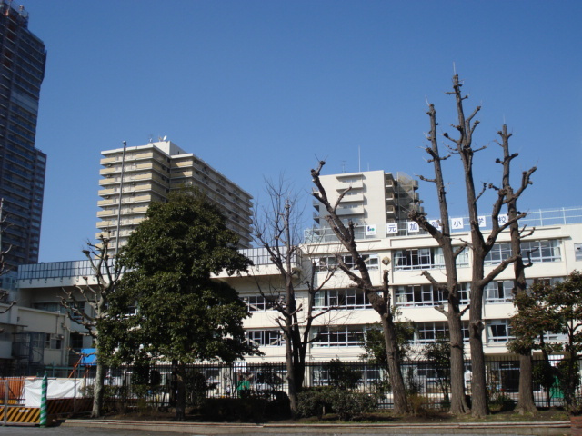 【小学校】江東区立元加賀小学校まで480ｍ