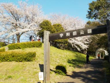 【公園】宇和田公園まで3133ｍ