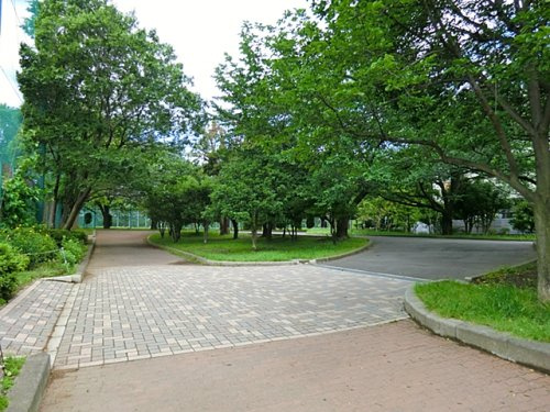 【公園】亀戸中央公園まで532ｍ