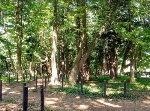 【公園】古淵鵜野森公園まで1155ｍ
