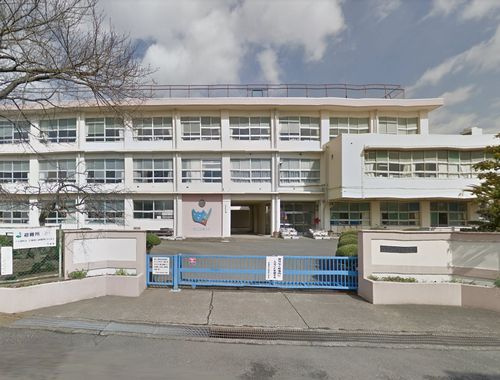 【小学校】平塚市立城島小学校まで245ｍ