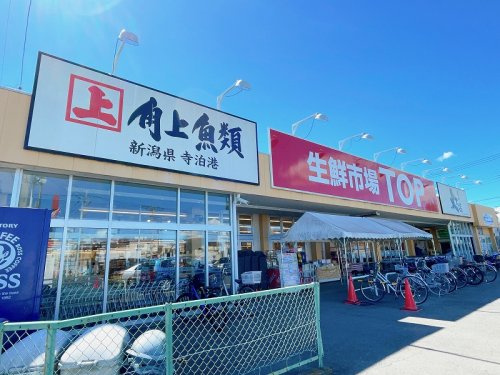 【スーパー】生鮮市場TOP　苗間店まで1010ｍ