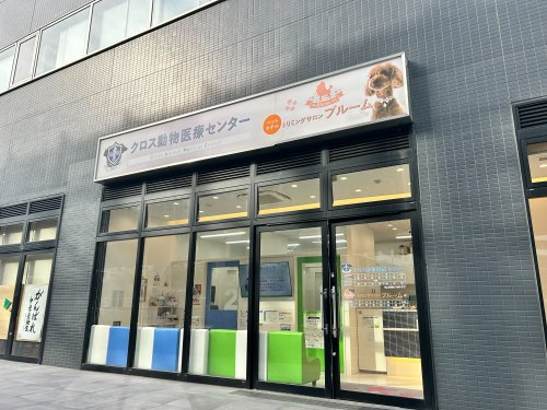 【その他】トリミングサロンブルーム勝どき店まで166ｍ