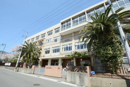 【小学校】神戸市立福池小学校まで508ｍ