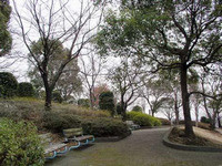【公園】鳶尾中央公園まで877ｍ