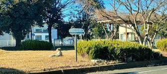 【公園】上生出塚4号公園まで258ｍ