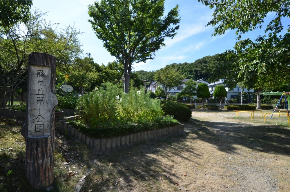 【公園】藤ケ丘第十公園まで66ｍ