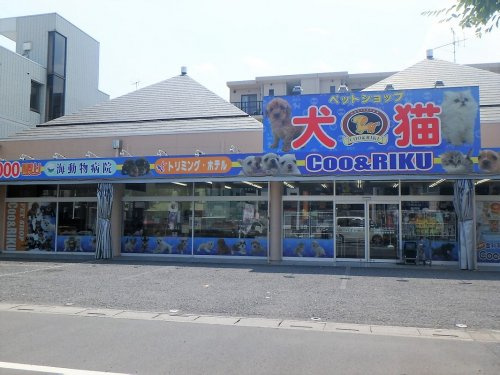 【ペットショップ】ペットショップCoo&amp;RIKU　川口戸塚店まで841ｍ