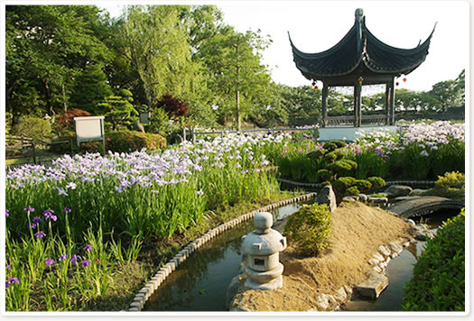 【公園】水月公園まで1374ｍ