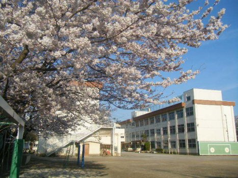【小学校】第二小学校まで136ｍ