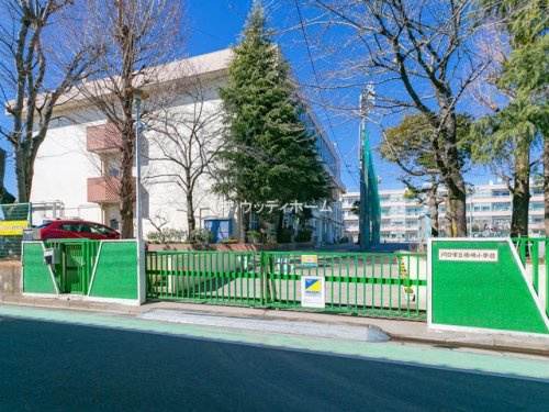 【小学校】川口市立柳崎小学校まで320ｍ