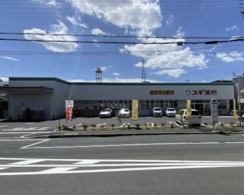 【ドラッグストア】スギ薬局　尼崎西立花店まで1105ｍ