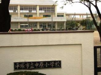 【小学校】平塚市立中原小学校まで876ｍ