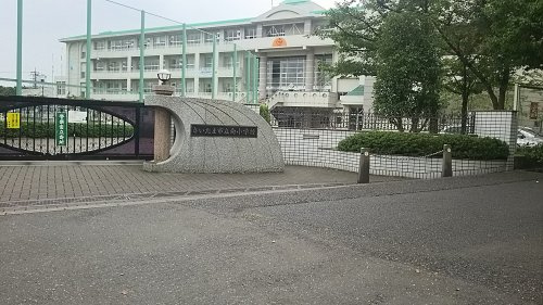 【小学校】さいたま市立向小学校まで314ｍ