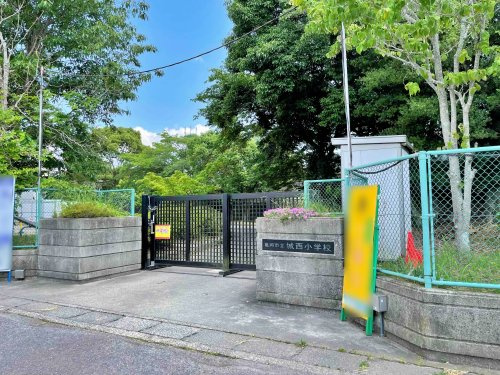 【小学校】亀岡市立城西小学校まで1402ｍ