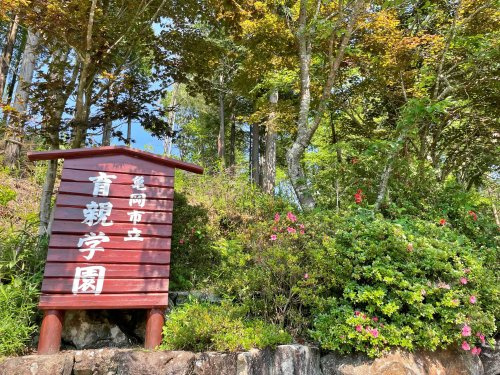 【小学校】亀岡市立育親学園まで5698ｍ