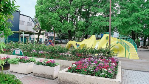 【公園】西小岩公園まで338ｍ